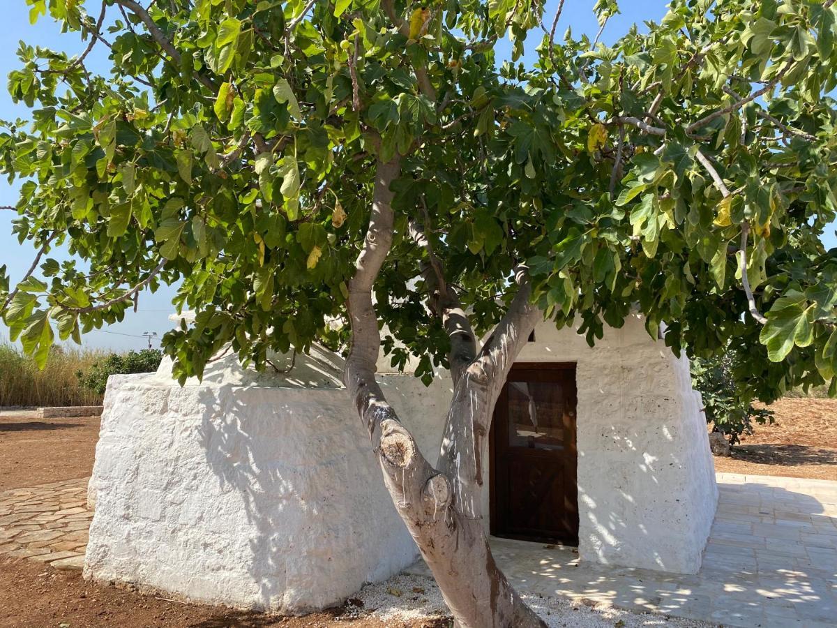 Trullo Seaside Polignano Villa Полиняно а Маре Екстериор снимка