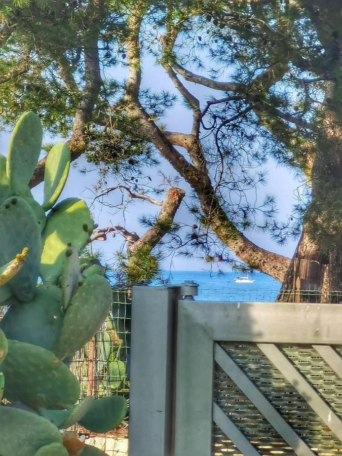 Trullo Seaside Polignano Villa Полиняно а Маре Екстериор снимка